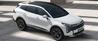 Kia Sportage New